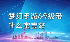 梦幻手游69级带什么宝宝好