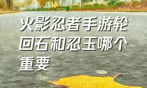 火影忍者手游轮回石和忍玉哪个重要