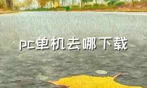 pc单机去哪下载（免费单机去哪下载）