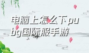 电脑上怎么下pubg国际服手游（电脑怎么玩pubg手游国际服）