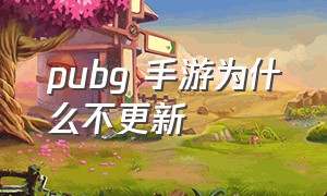 pubg 手游为什么不更新