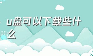 u盘可以下载些什么（u盘可下载吗）