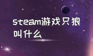 steam游戏只狼叫什么