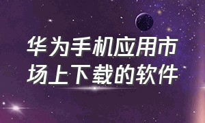 华为手机应用市场上下载的软件（华为应用市场下载安装app）