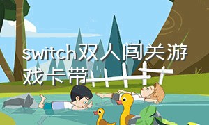 switch双人闯关游戏卡带