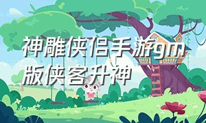 神雕侠侣手游gm版侠客升神（神雕侠侣手游怎么培养侠客）