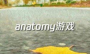anatomy游戏