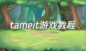 tameit游戏教程