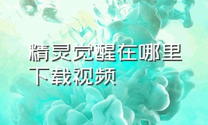 精灵觉醒在哪里下载视频（精灵觉醒正版安装链接）