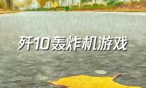 歼10轰炸机游戏（歼10战斗机游戏视频）