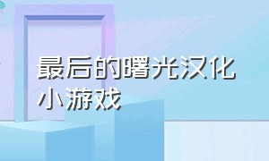 最后的曙光汉化小游戏（最后的曙光汉化教程）