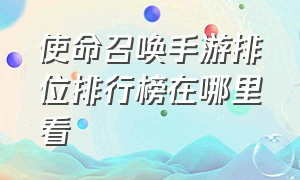 使命召唤手游排位排行榜在哪里看