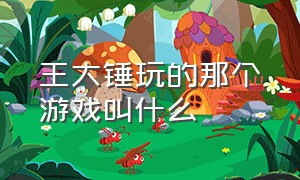 王大锤玩的那个游戏叫什么