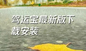 驾运宝最新版下载安装