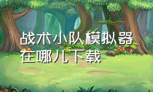 战术小队模拟器在哪儿下载（战术小队下载完没有服务器）