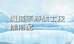 魔域手游战士技能搭配