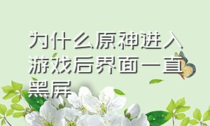 为什么原神进入游戏后界面一直黑屏