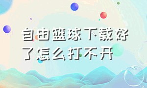 自由篮球下载好了怎么打不开