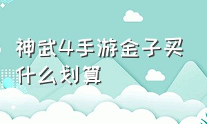 神武4手游金子买什么划算（神武4手游金子号）