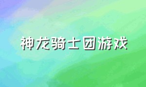 神龙骑士团游戏