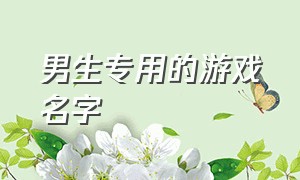 男生专用的游戏名字