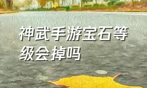 神武手游宝石等级会掉吗