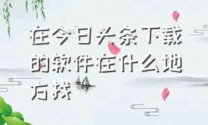 在今日头条下载的软件在什么地方找