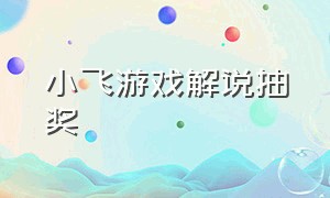 小飞游戏解说抽奖（小飞解说试玩游戏）