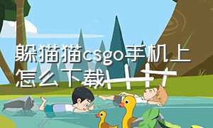 躲猫猫csgo手机上怎么下载