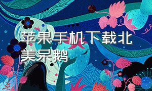 苹果手机下载北美呆鹅（北美呆鹅app下载二维码）