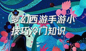 梦幻西游手游小技巧冷门知识