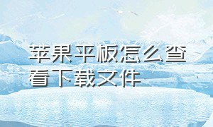 苹果平板怎么查看下载文件