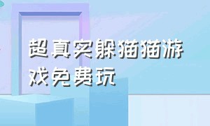 超真实躲猫猫游戏免费玩