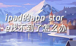 ipad的app store找不到了怎么办