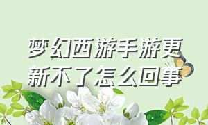 梦幻西游手游更新不了怎么回事