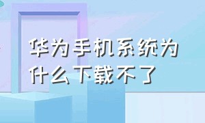 华为手机系统为什么下载不了