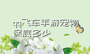 qq飞车手游宠物保底多少（qq飞车手游宠物秘境保底多少钱）