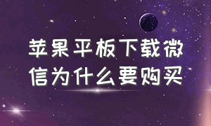 苹果平板下载微信为什么要购买