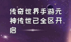 传奇世界手游元神传世已全区开启