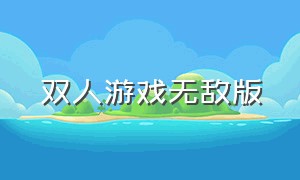 双人游戏无敌版