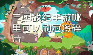 三国战纪手游哪里可以刷冠将碎片（三国战纪手游怎么卡三神将）