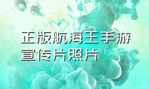 正版航海王手游宣传片照片