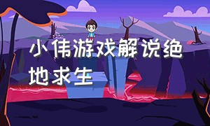 小伟游戏解说绝地求生