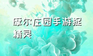 摩尔庄园手游捉精灵