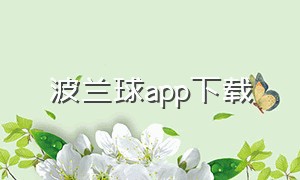 波兰球app下载