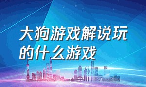 大狗游戏解说玩的什么游戏