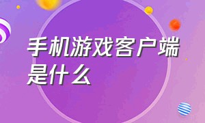 手机游戏客户端是什么（手机游戏客户端是什么软件）