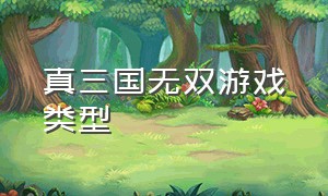 真三国无双游戏类型