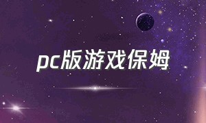 pc版游戏保姆（保姆游戏攻略中文版）