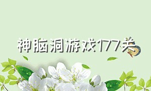 神脑洞游戏177关